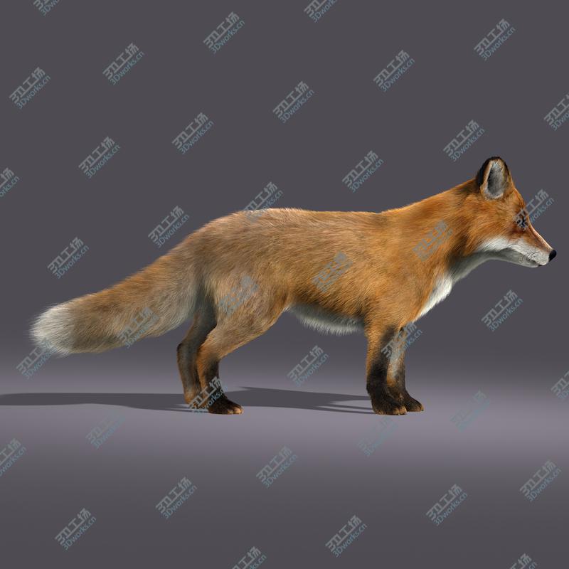 images/goods_img/2021040234/Fox (RIGGED) (FUR)/3.jpg